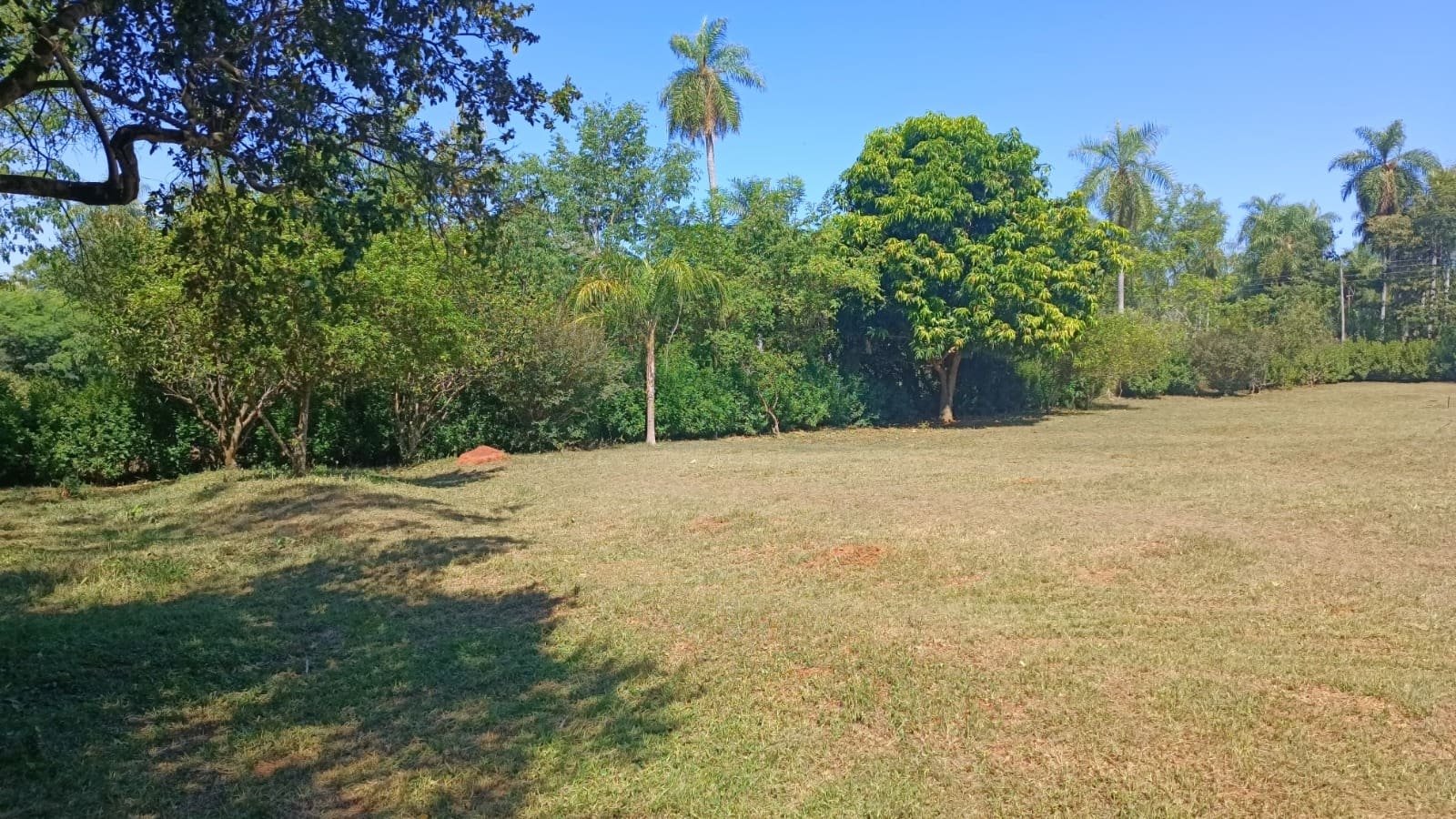1000296005 Terreno en Itaugua