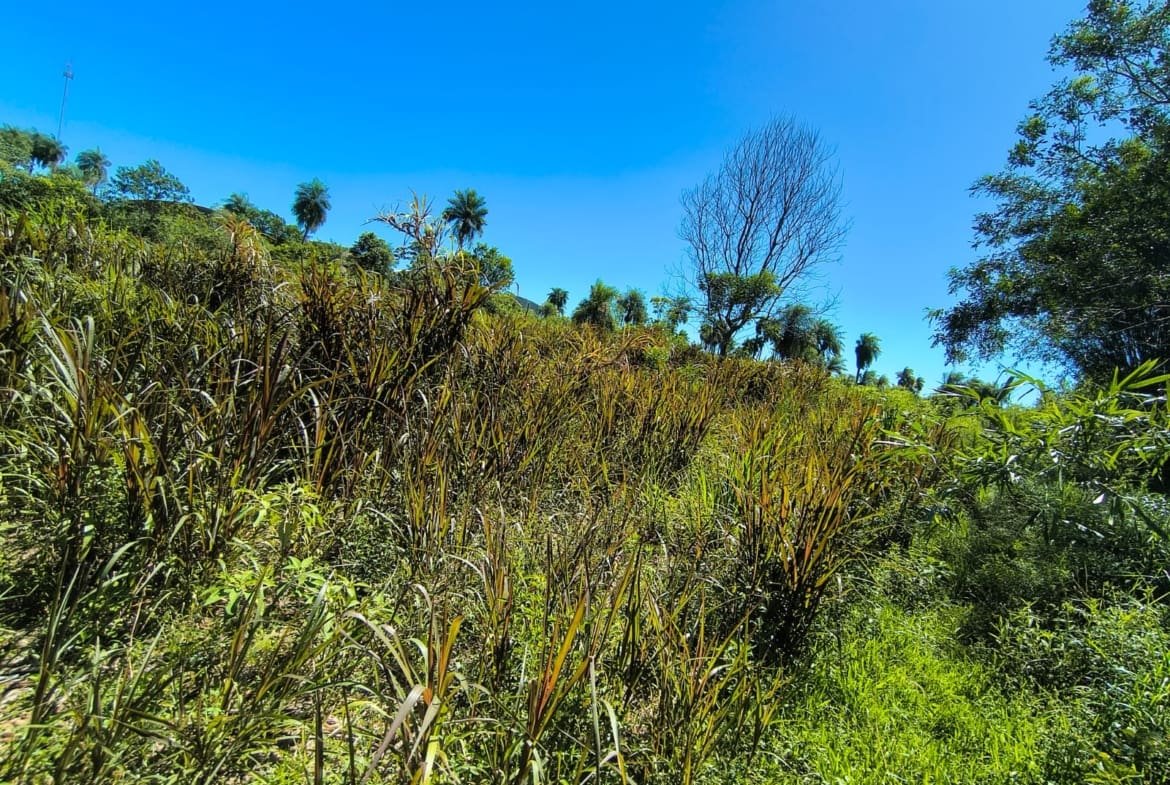 Venta de Terreno en Villarrica