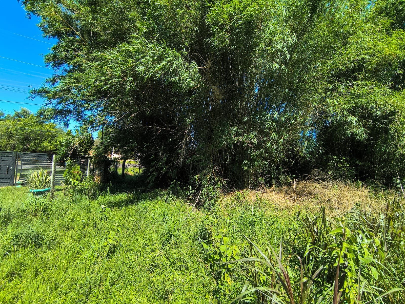 Terreno Ruta 8 4 Venta de Terreno en Villarrica
