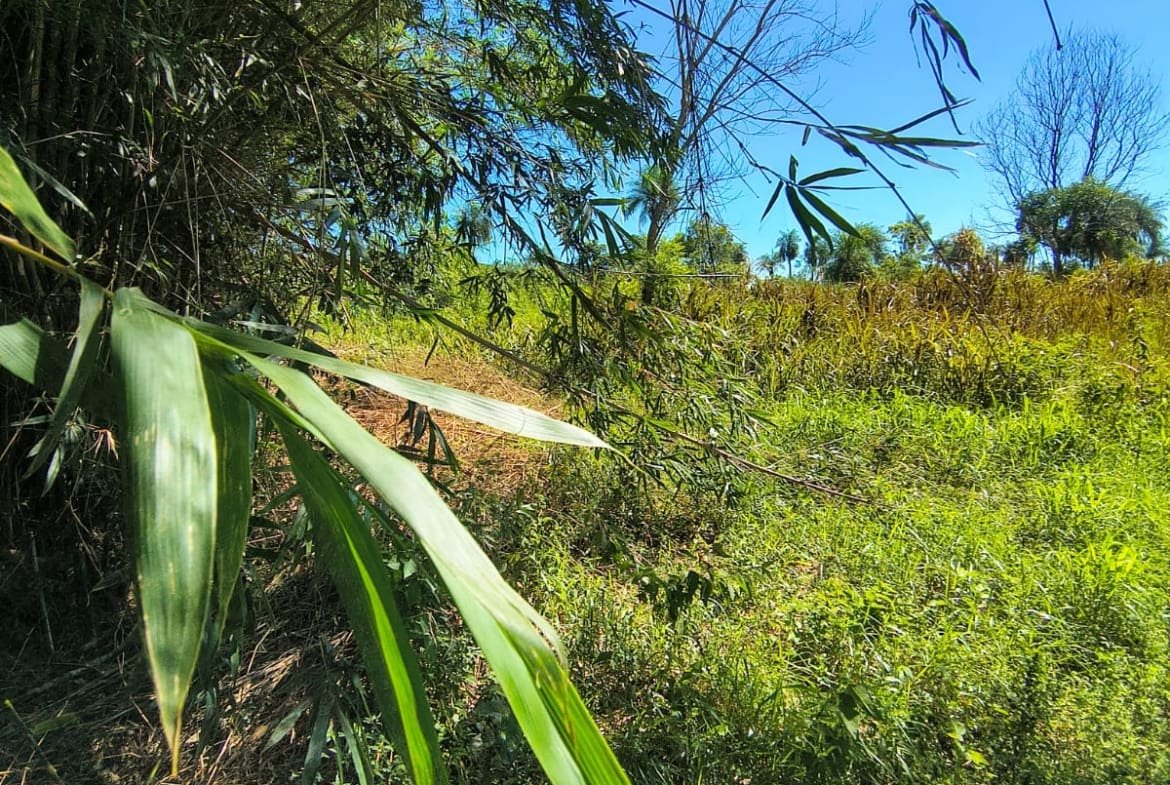 Venta de Terreno en Villarrica