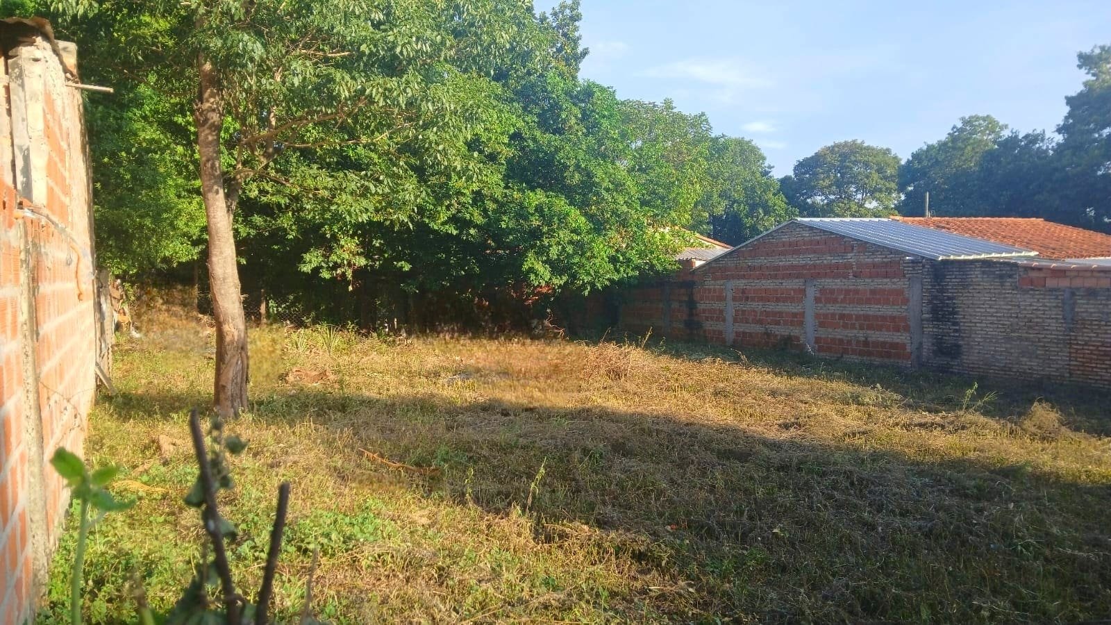 TERRENO IDEAL PARA INVERSION – LUQUE