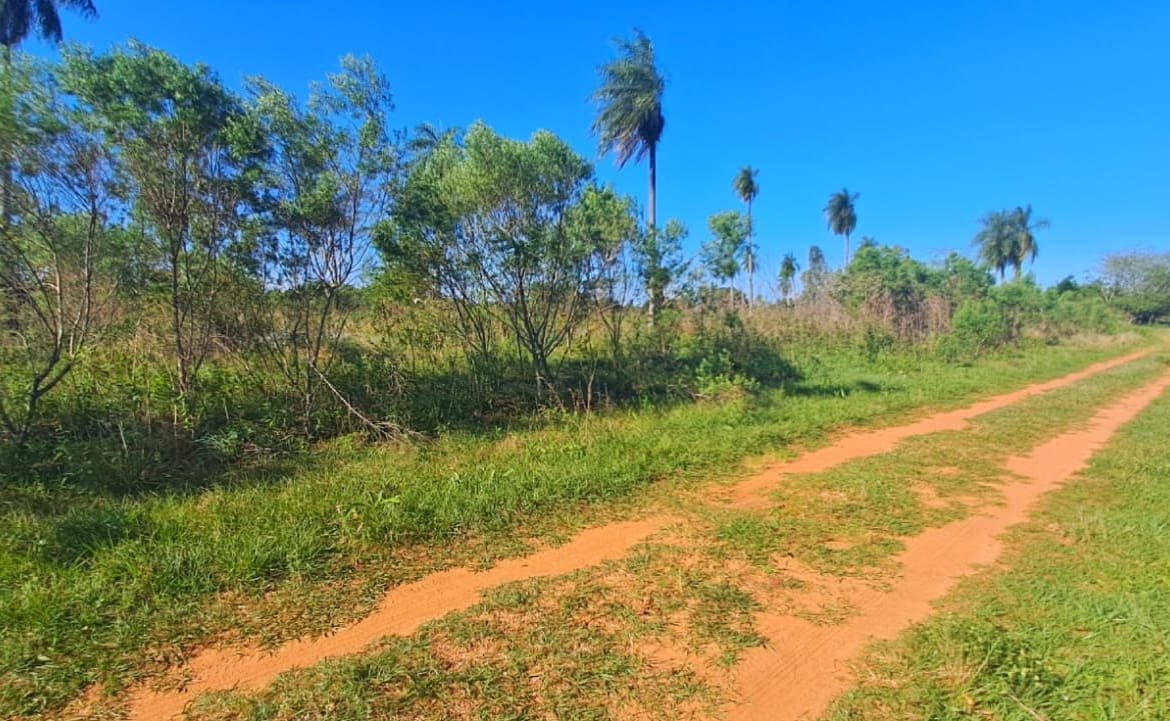 TERRENO EN ITAUGUA – ZONA DE CRECIMIENTO