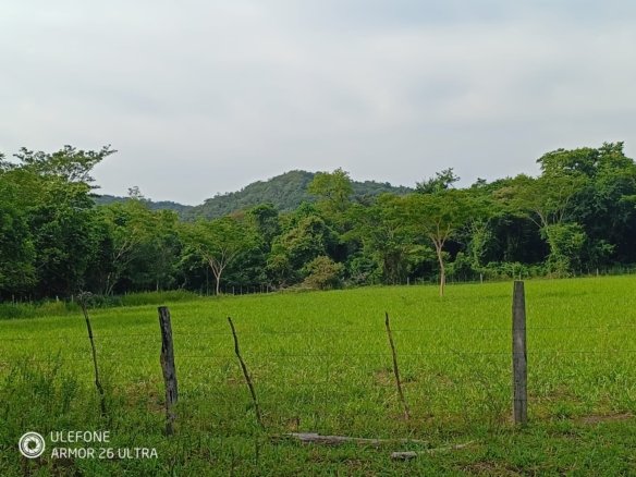 4,7 ha con arroyo, bosque y vista al cerro – La Colmena