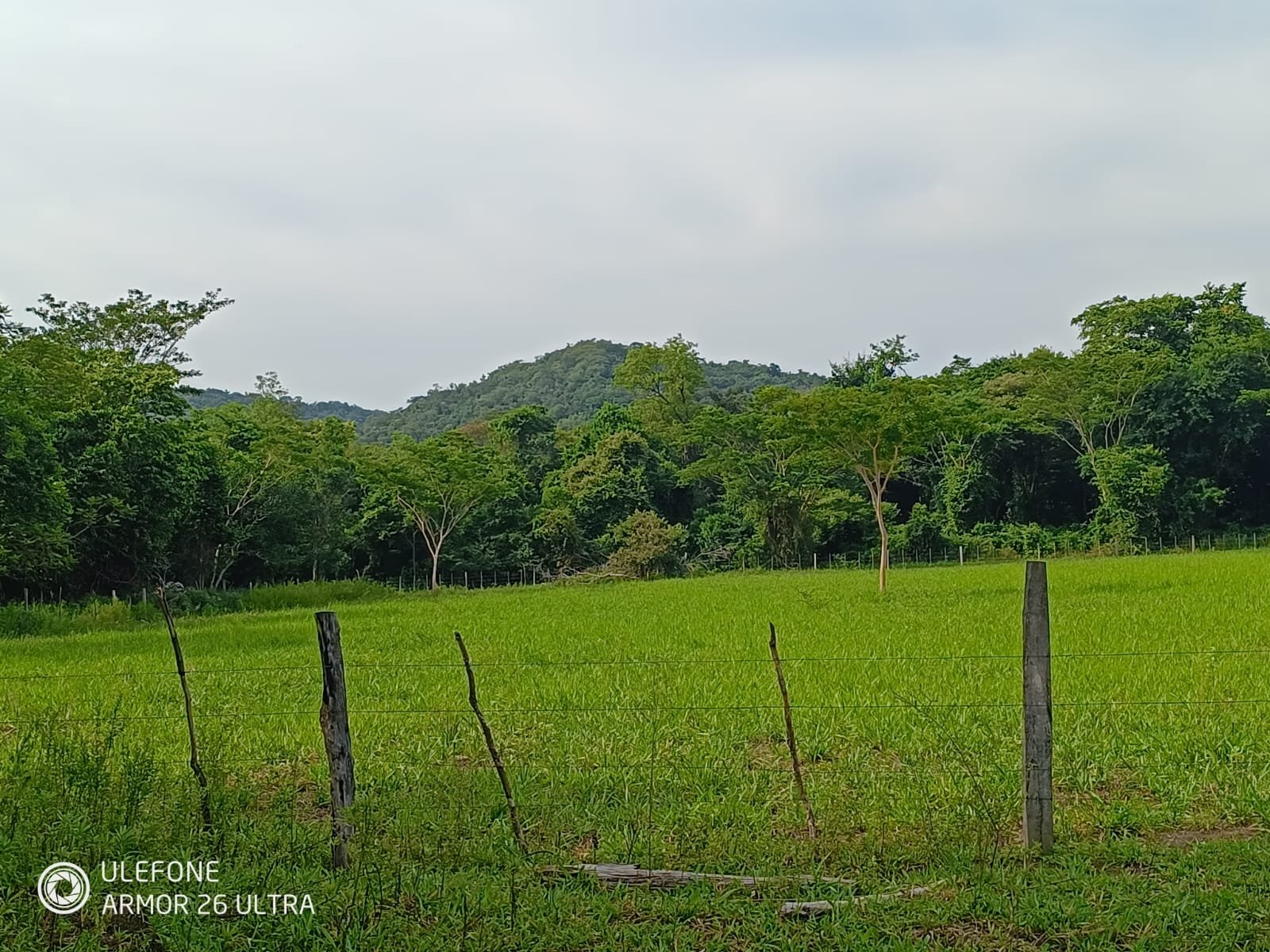 02 4,7 ha con arroyo, bosque y vista al cerro – La Colmena