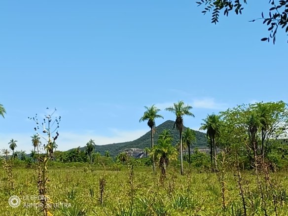 20 ha Propiedad con naturaleza en Potrero Garay La Colmena