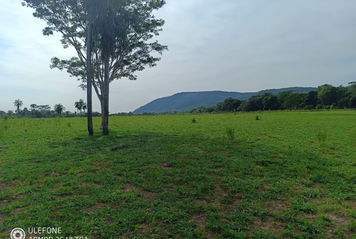 4,7 ha con arroyo, bosque y vista al cerro – La Colmena
