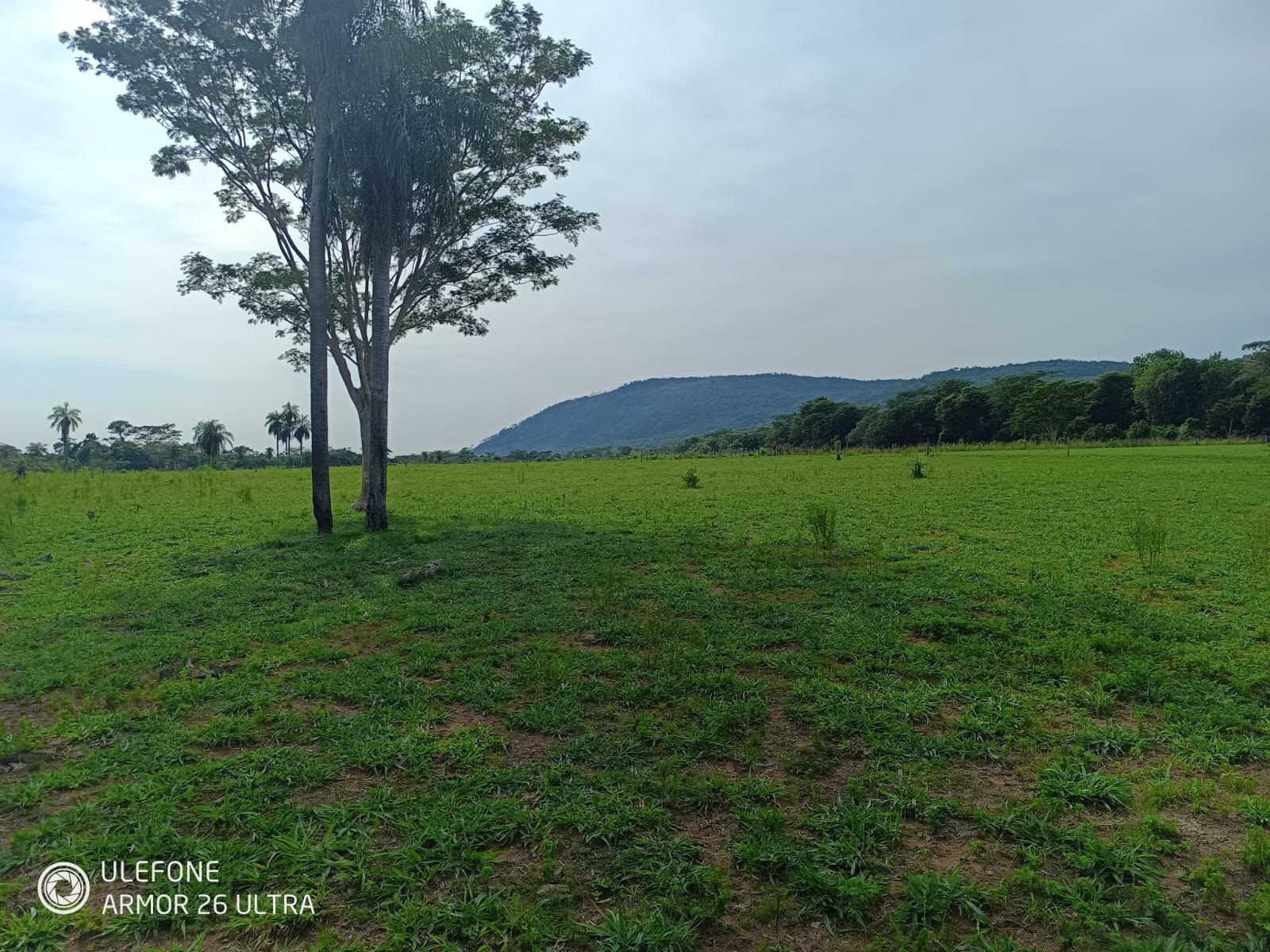 03 4,7 ha con arroyo, bosque y vista al cerro – La Colmena