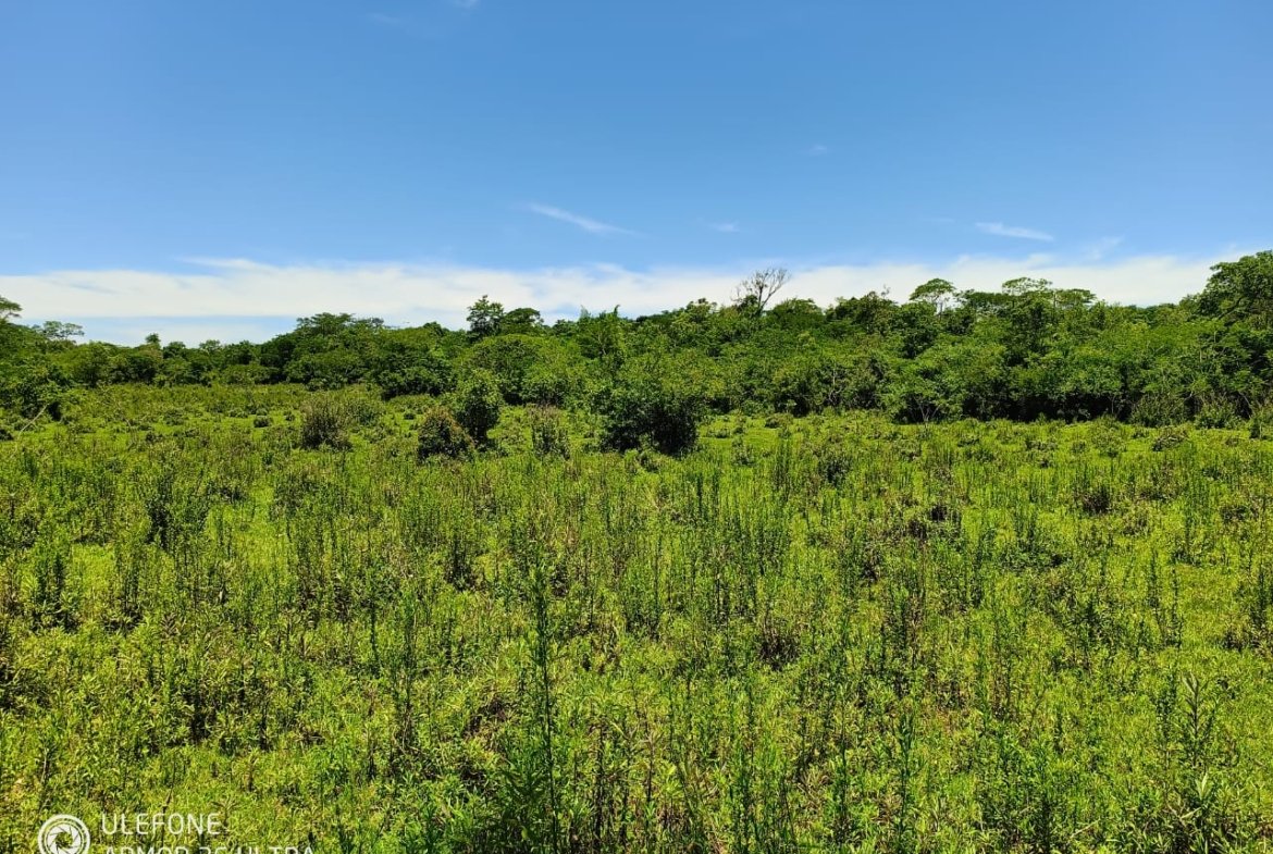 20 ha Propiedad con naturaleza en Potrero Garay La Colmena