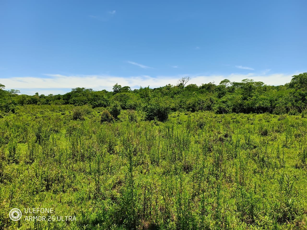 20 ha Propiedad con naturaleza en Potrero Garay La Colmena