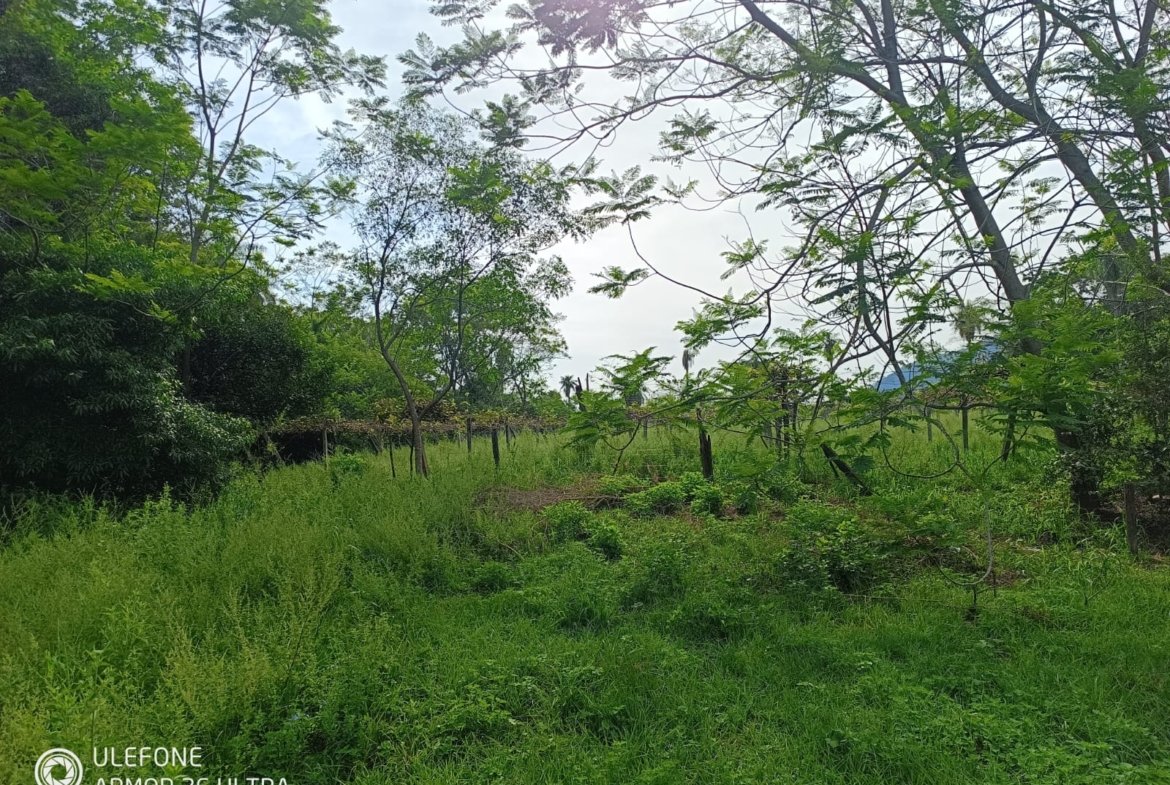 4,7 ha con arroyo, bosque y vista al cerro – La Colmena