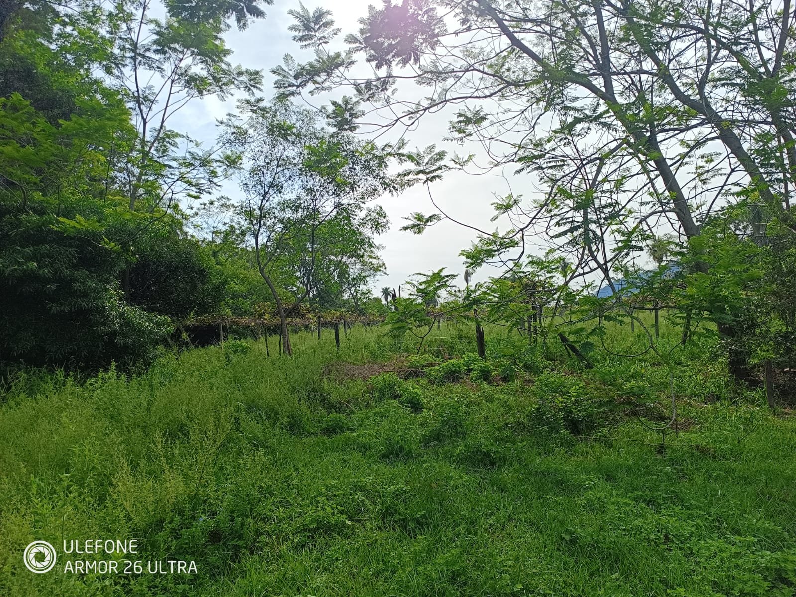 04 4,7 ha con arroyo, bosque y vista al cerro – La Colmena