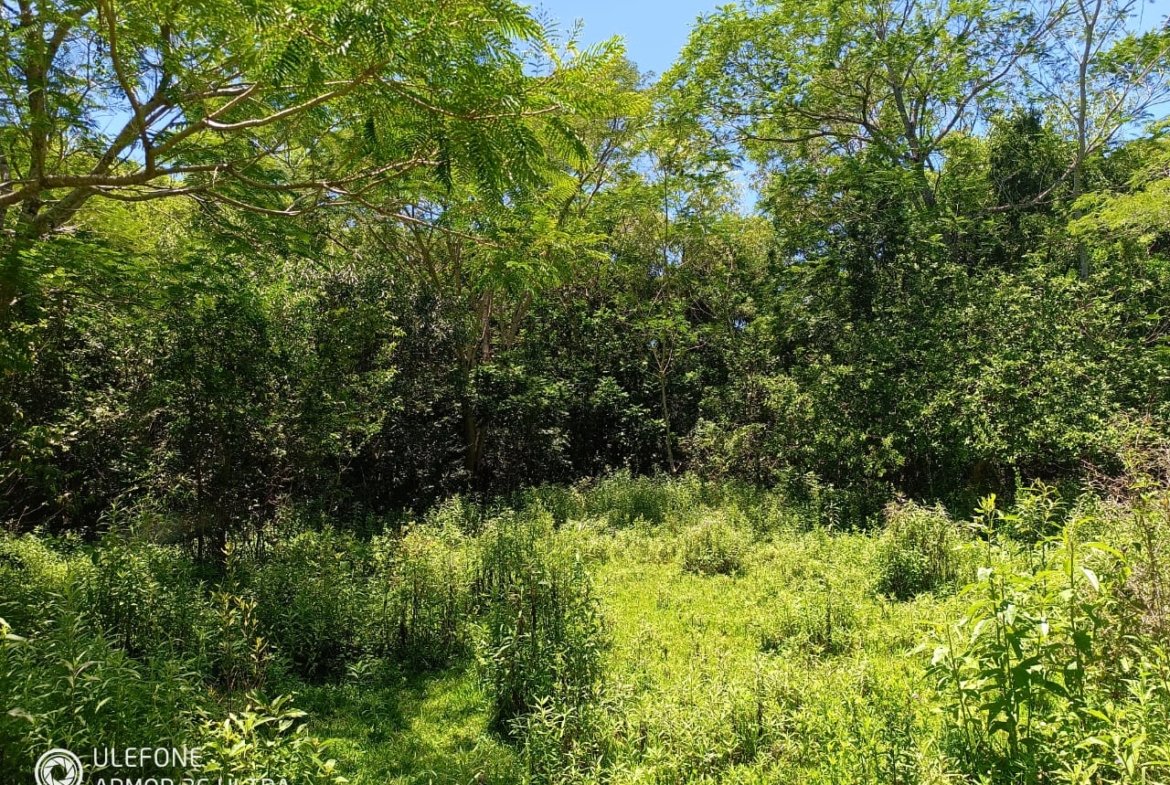 20 ha Propiedad con naturaleza en Potrero Garay La Colmena