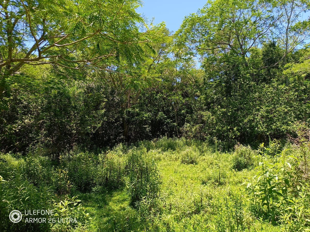 20 ha Propiedad con naturaleza en Potrero Garay La Colmena