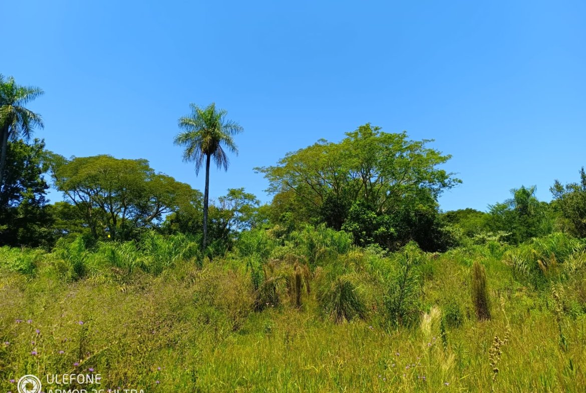 38 ha Con río, ideal ganadería, turismo o loteamiento – Tebicuarí