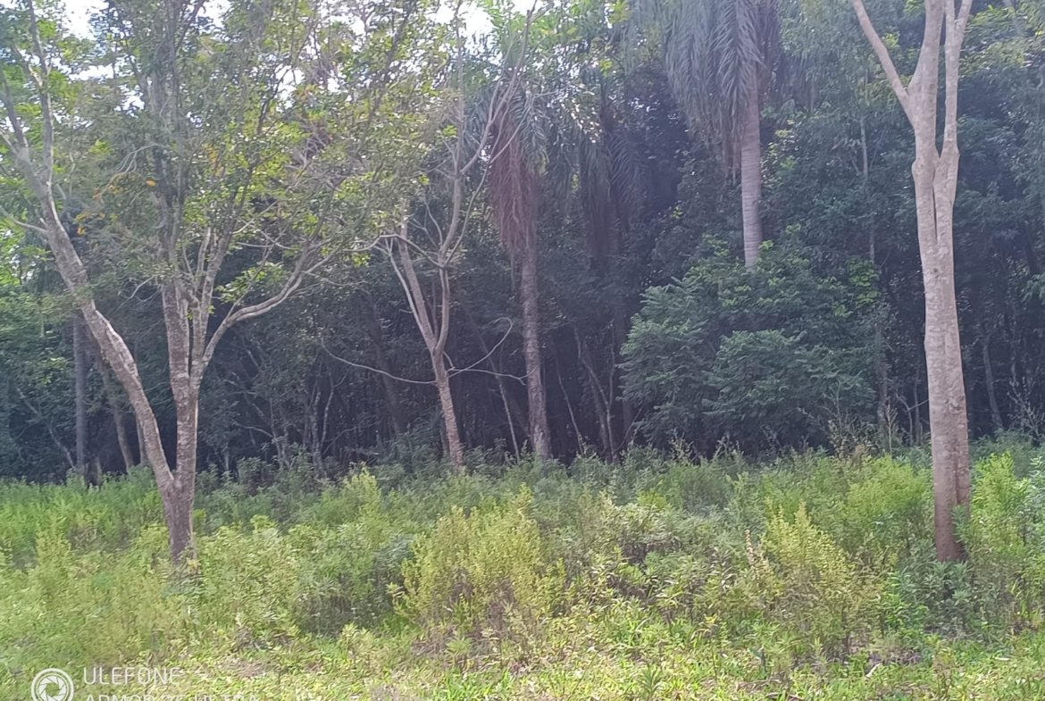 4,7 ha con arroyo, bosque y vista al cerro – La Colmena