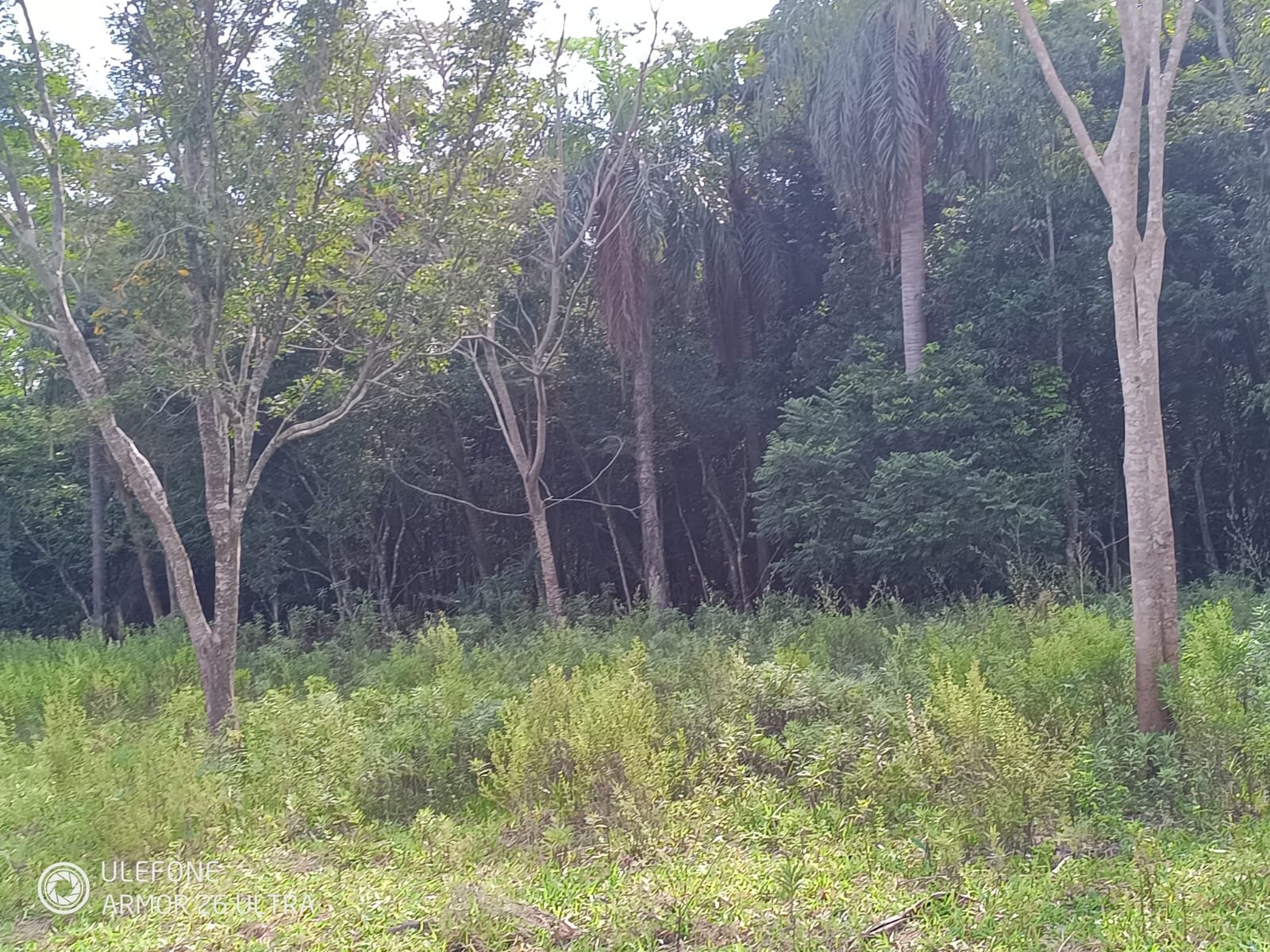 05 4,7 ha con arroyo, bosque y vista al cerro – La Colmena