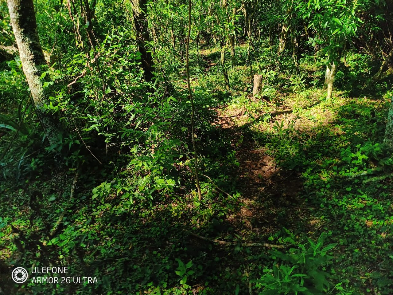 20 ha Propiedad con naturaleza en Potrero Garay La Colmena