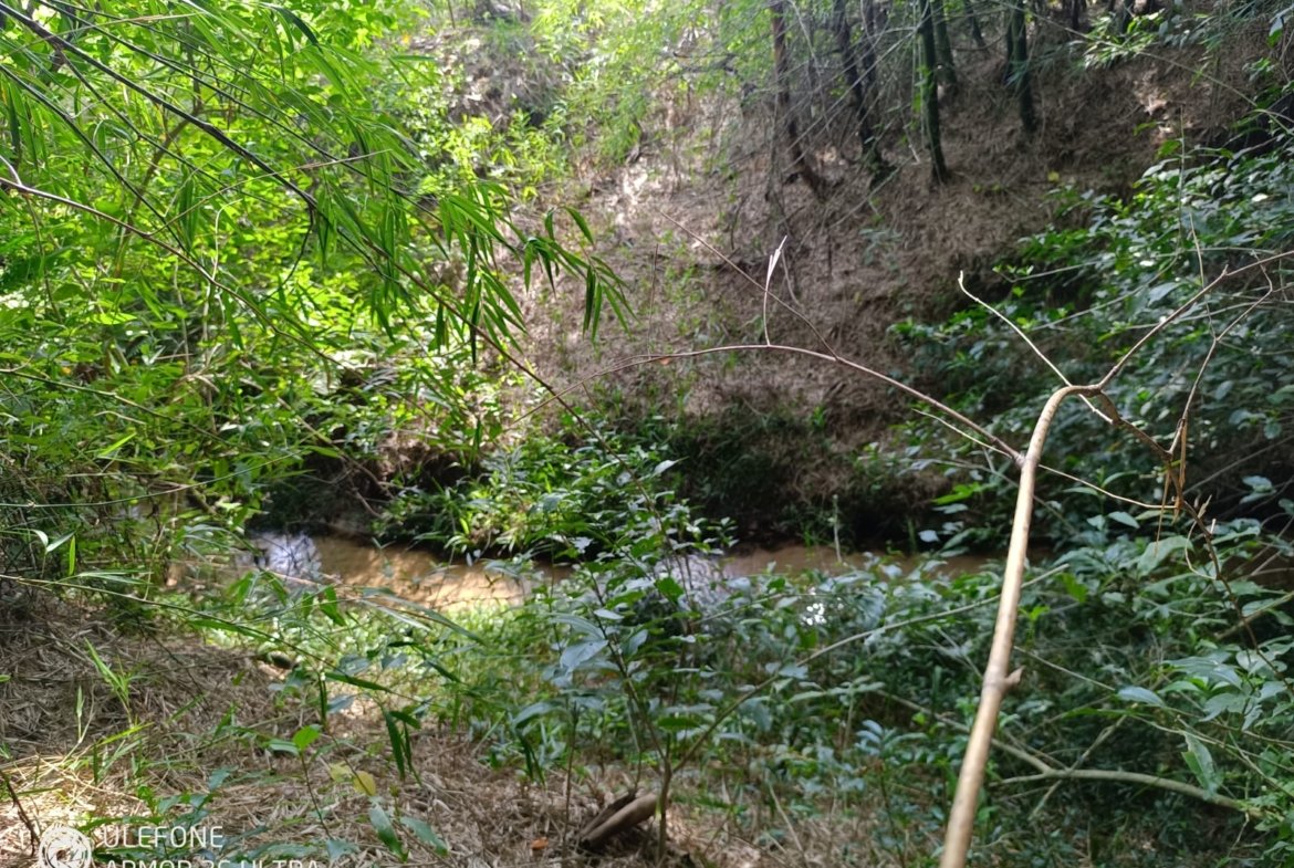4,7 ha con arroyo, bosque y vista al cerro – La Colmena