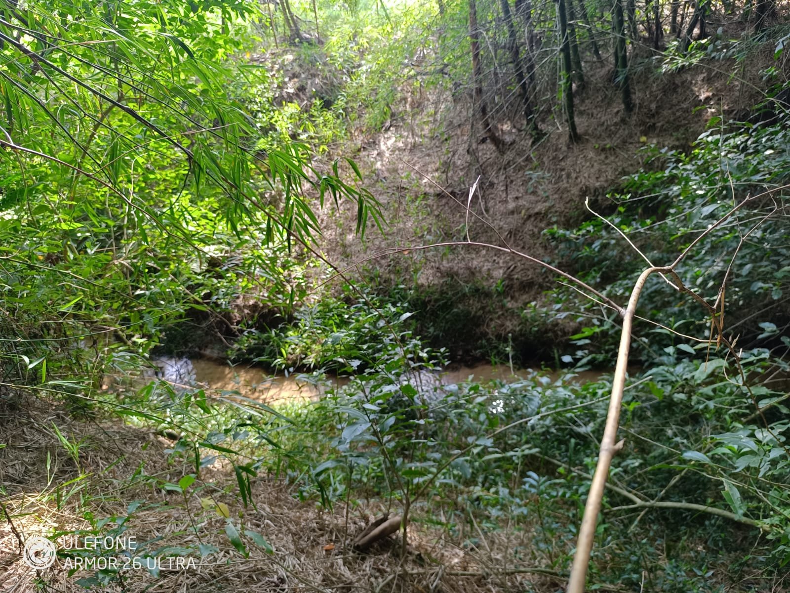 06 4,7 ha con arroyo, bosque y vista al cerro – La Colmena