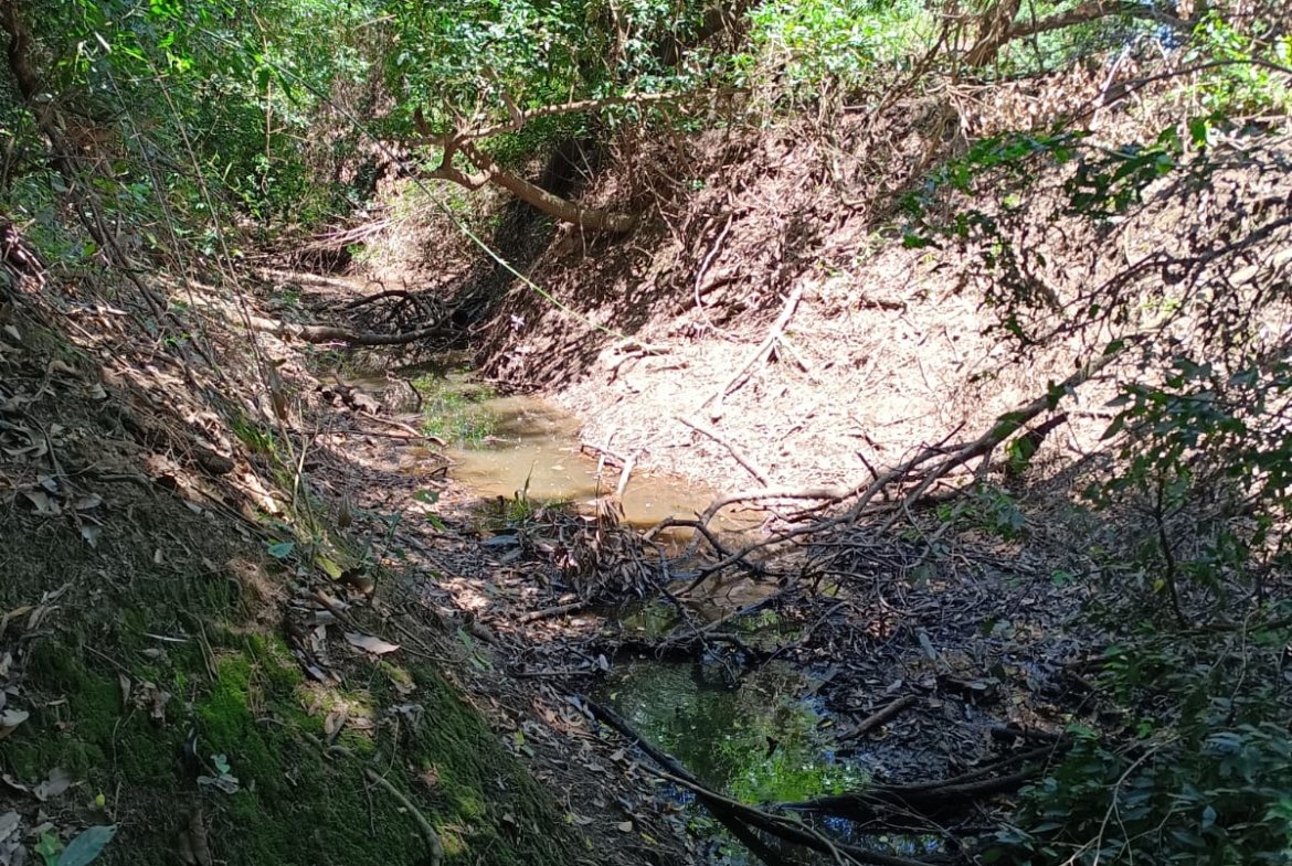 38 ha Con río, ideal ganadería, turismo o loteamiento – Tebicuarí