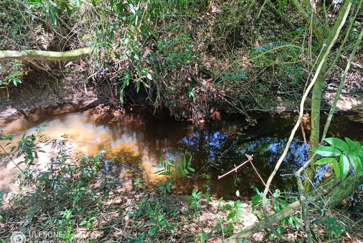 20 ha Propiedad con naturaleza en Potrero Garay La Colmena