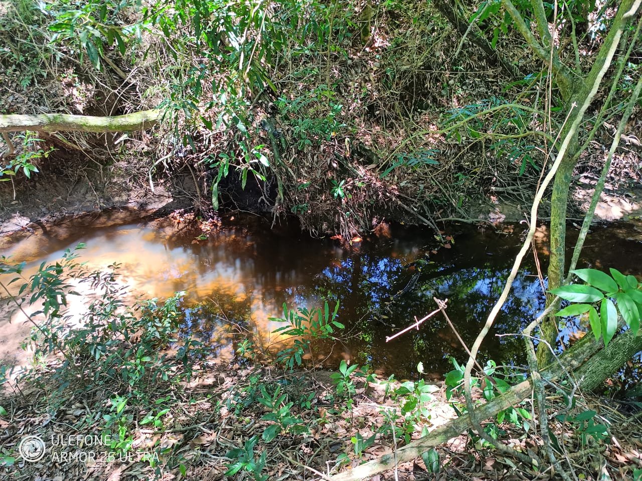 20 ha Propiedad con naturaleza en Potrero Garay La Colmena