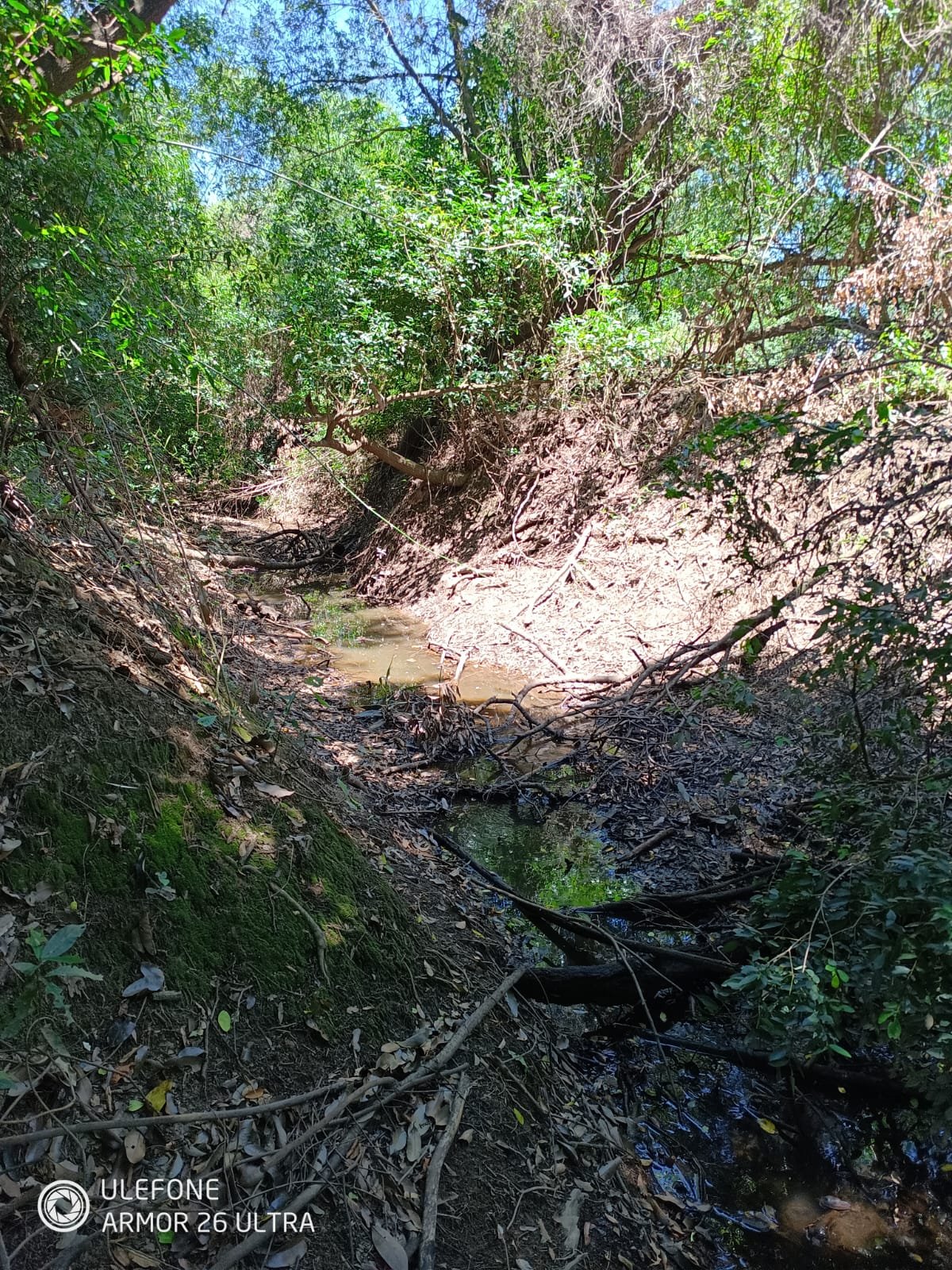 06 38 ha Con río, ideal ganadería, turismo o loteamiento – Tebicuarí