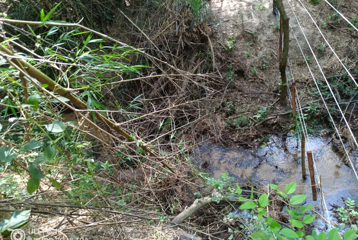 4,7 ha con arroyo, bosque y vista al cerro – La Colmena