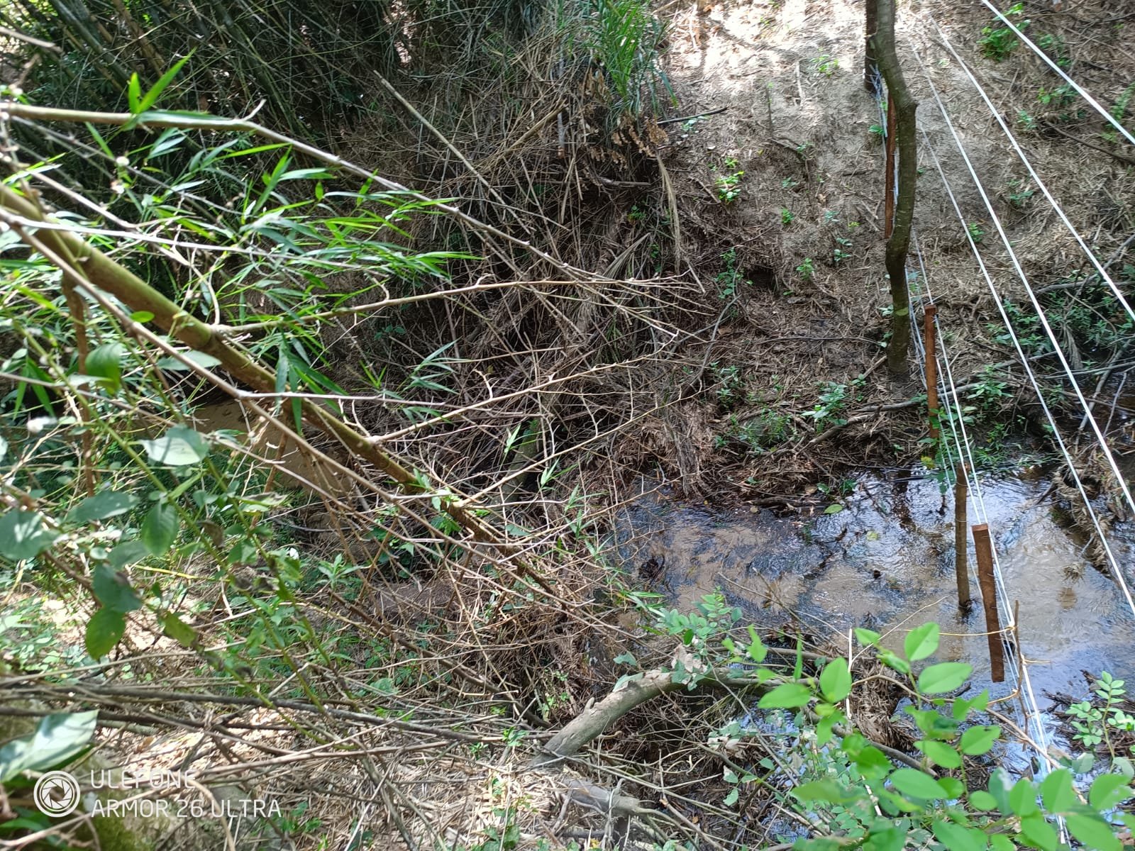 07 4,7 ha con arroyo, bosque y vista al cerro – La Colmena