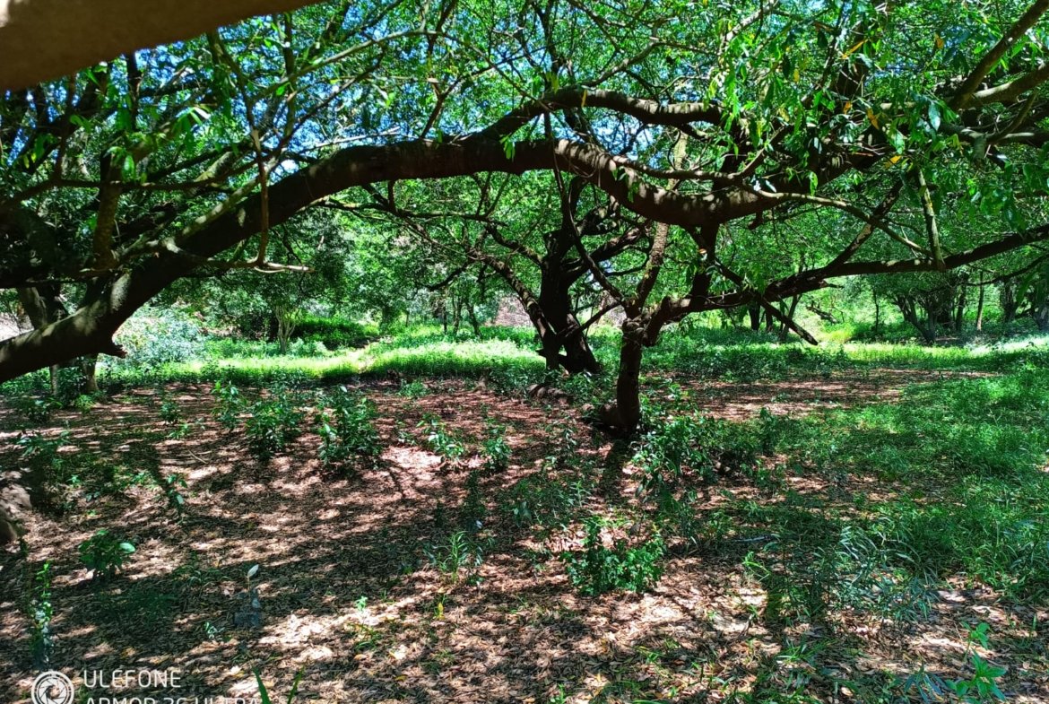 38 ha Con río, ideal ganadería, turismo o loteamiento – Tebicuarí