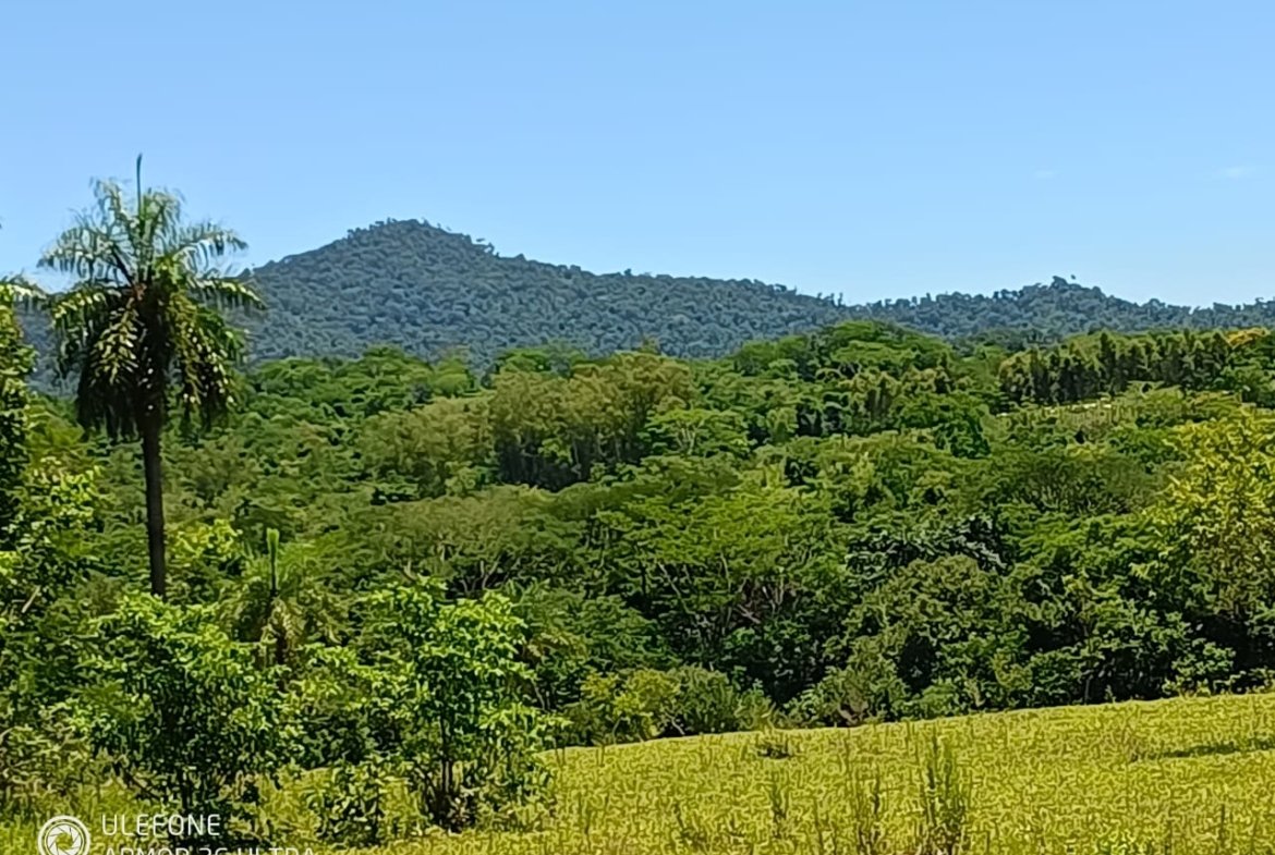 20 ha Propiedad con naturaleza en Potrero Garay La Colmena
