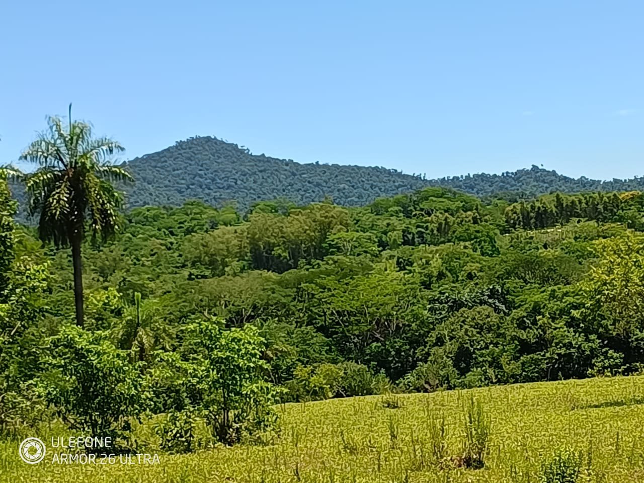 20 ha Propiedad con naturaleza en Potrero Garay La Colmena