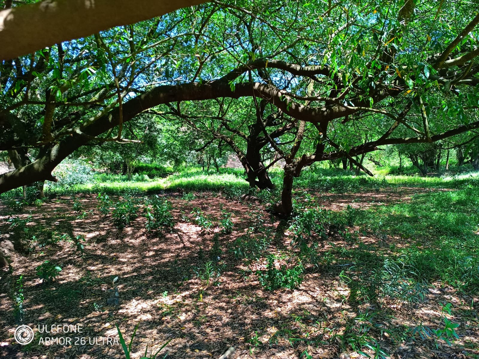 07 38 ha Con río, ideal ganadería, turismo o loteamiento – Tebicuarí