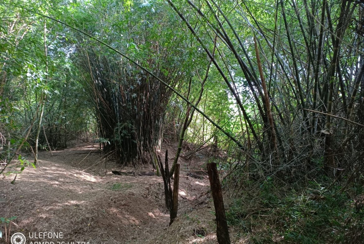 4,7 ha con arroyo, bosque y vista al cerro – La Colmena