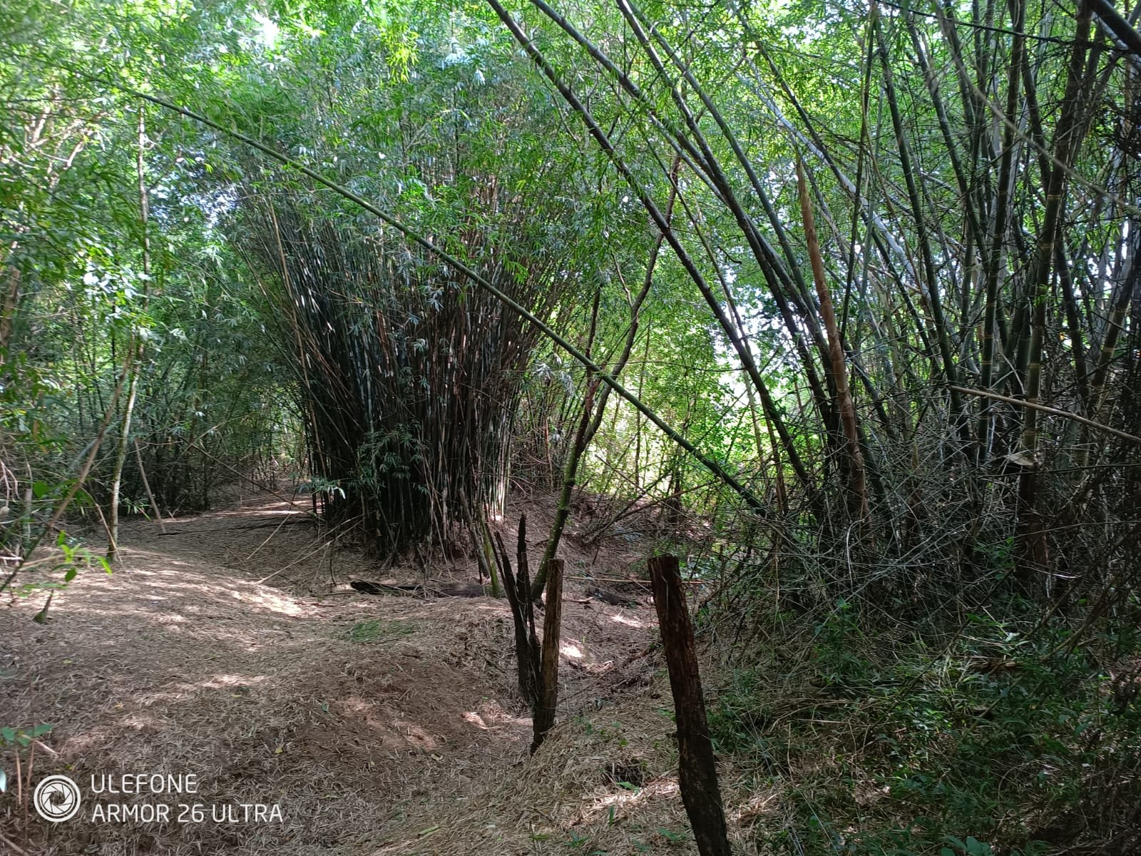 08 4,7 ha con arroyo, bosque y vista al cerro – La Colmena