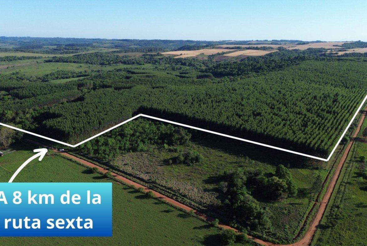 72 hectáreas ubicado en el distrito de Trinidad – Itapúa
