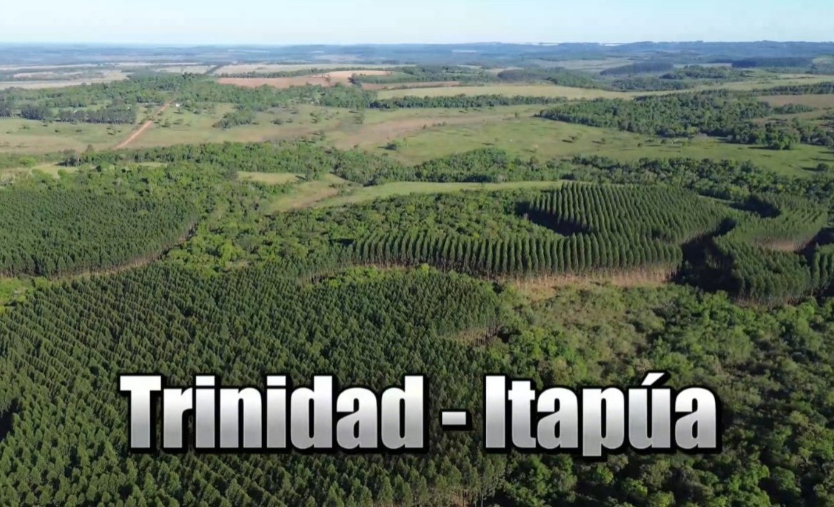 72 hectáreas ubicado en el distrito de Trinidad – Itapúa