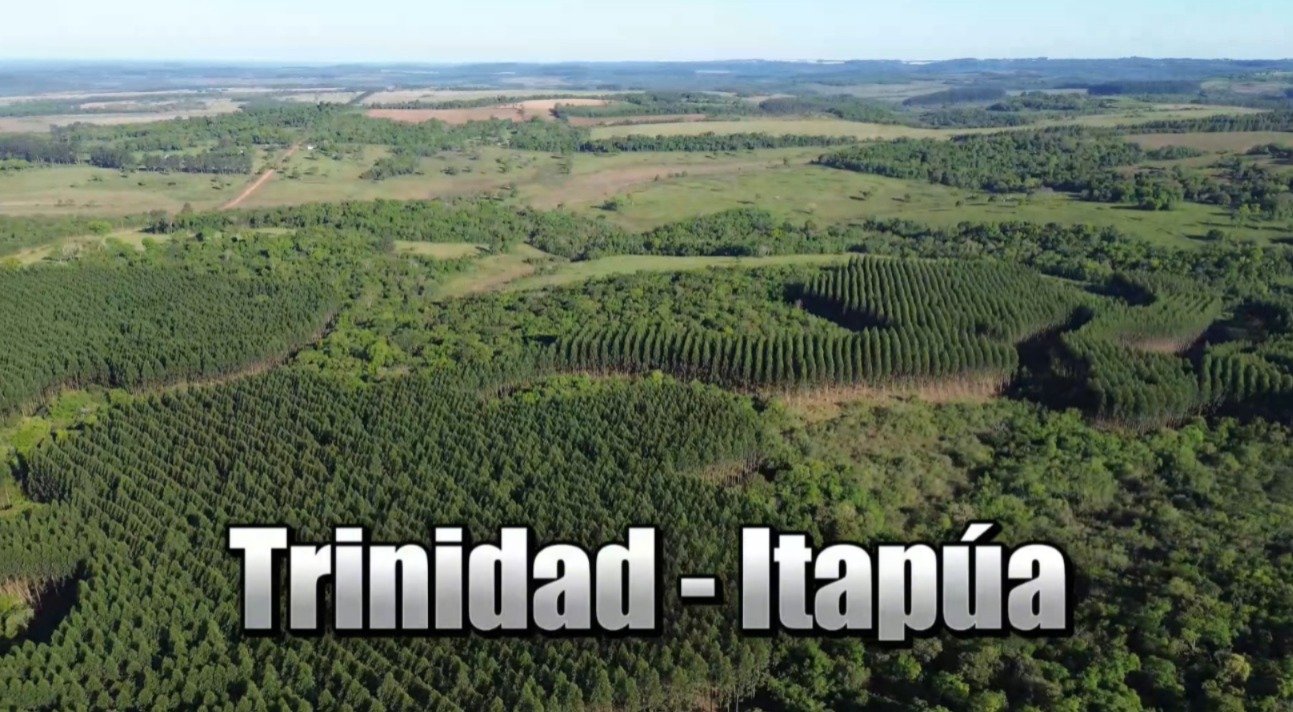 72 hectáreas ubicado en el distrito de Trinidad – Itapúa