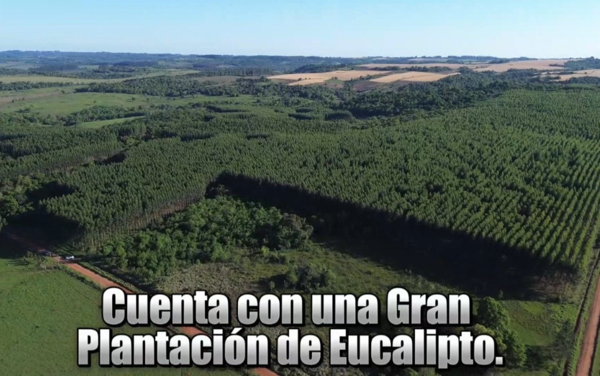 72 hectáreas ubicado en el distrito de Trinidad – Itapúa