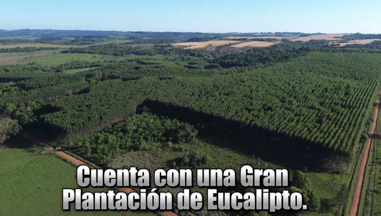 72 hectáreas ubicado en el distrito de Trinidad – Itapúa