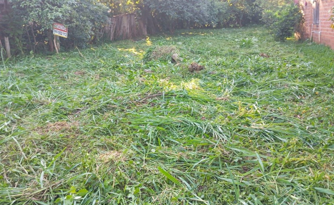 Terreno económico ubicado a tan solo 1.000m de la Ruta Sexta – Enc.