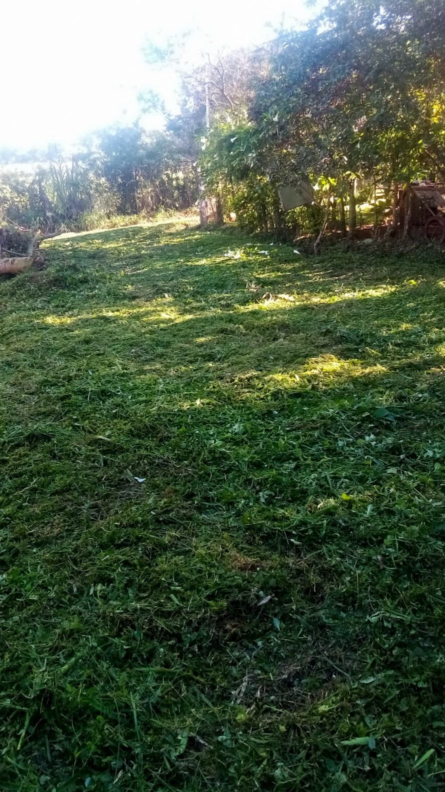 Terreno económico ubicado a tan solo 1.000m de la Ruta Sexta – Enc.