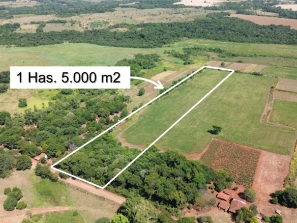 Propiedad de 1 hectárea con 5.000 m² – San Luis del Paraná